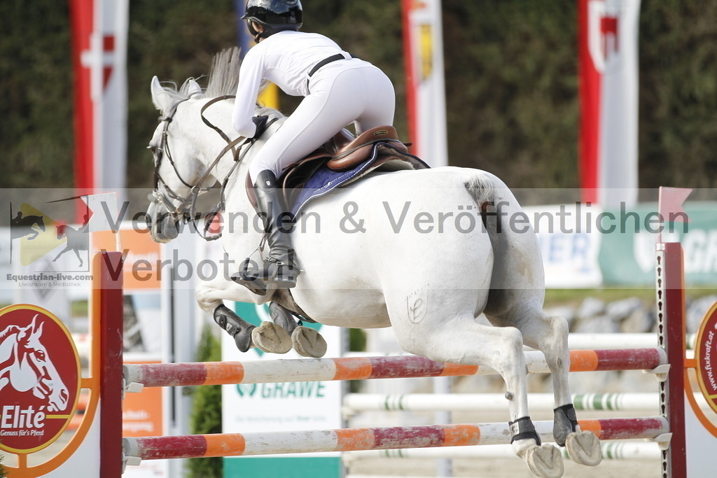_MG_6076 | equestrian-live-com