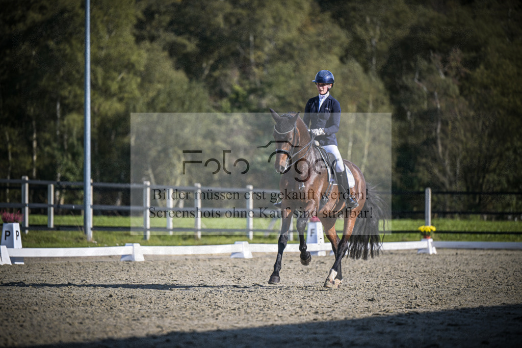 DOS_B833 | Entdecke hochwertige Reitturnierfotos von Foto Oger. Professionell, emotional und authentisch – jetzt Lieblingsmomente im Shop bestellen.Deutschlandweite Turnierfotografie. - Realisiert mit Pictrs.com