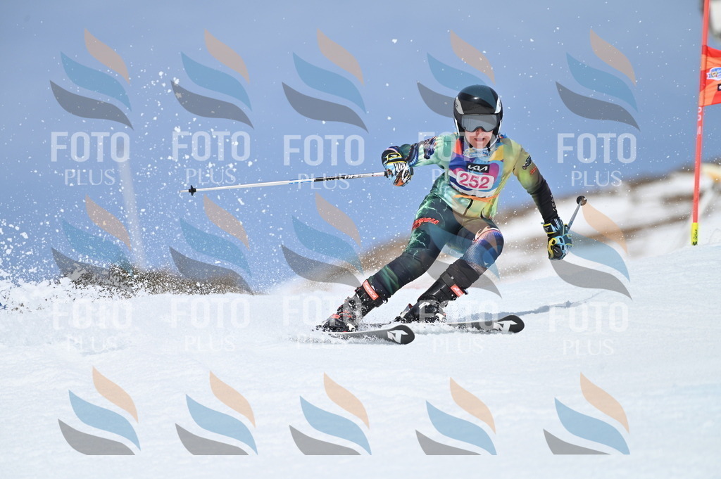 BGV_1915 | holidayphoto