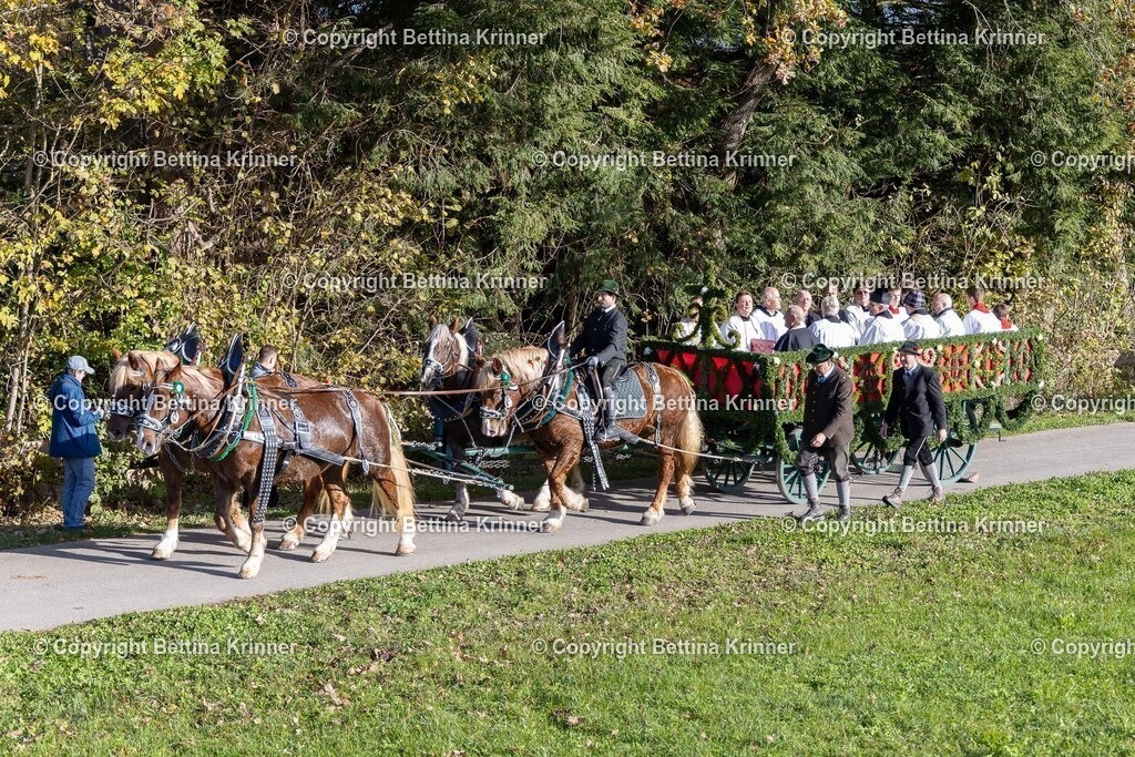 LBT24-15 | foto-bettina-krinner - Realisiert mit Pictrs.com