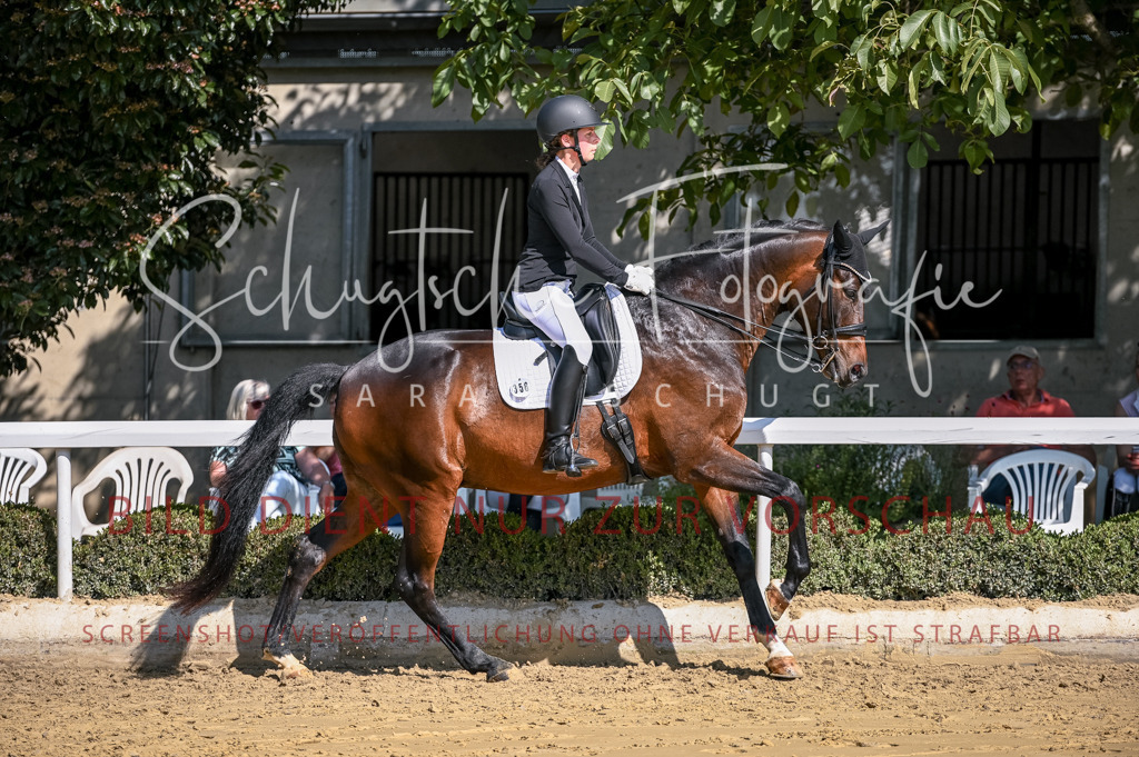Schugtsche-Aluta25-52.Dressurprf.M2Kand-427 | Schugtsche Fotografie - Realisiert mit Pictrs.com
