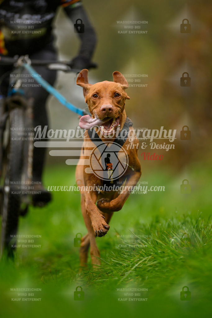 MompixPhotography_20TSB_E8_Bike-76 | PayLife