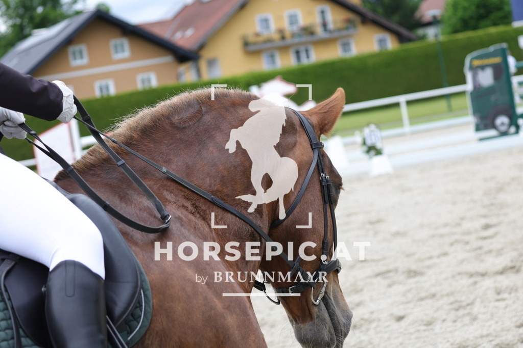 0P6A4576 | Willkommen bei Brunnmayr - Design & Fotografie – Ihrem Spezialisten für Reitturniere und Pferdeveranstaltungen in Oberösterreich, Salzburg und Bayern! Seit über 17 Jahren sind wir leidenschaftlich dabei.