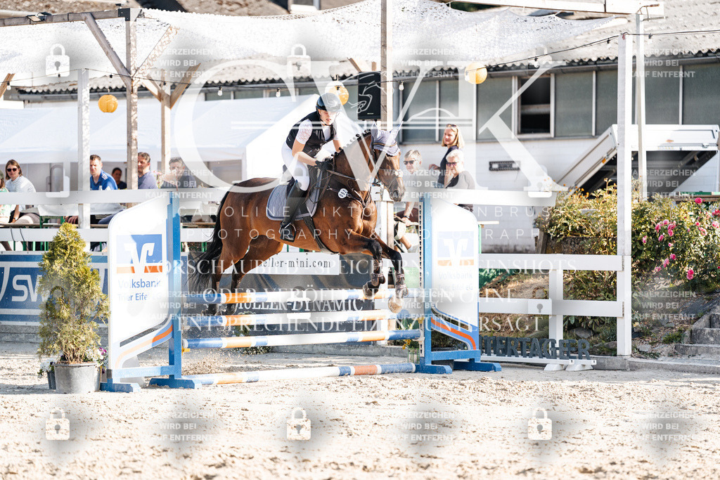 CK909627 | Turnierfotografie Pferdefotografie Trier Rheinland-Pfalz Pferdesport Reitsport Tierfotografie Sportfotografie Pferdevideo Pferdevideografie Equestrianvideography equestrianphotography  - Realisiert mit Pictrs.com