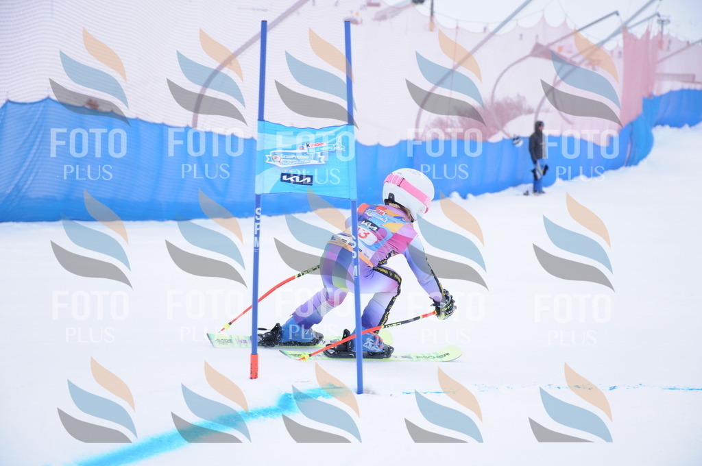 DSC_7887 | holidayphoto