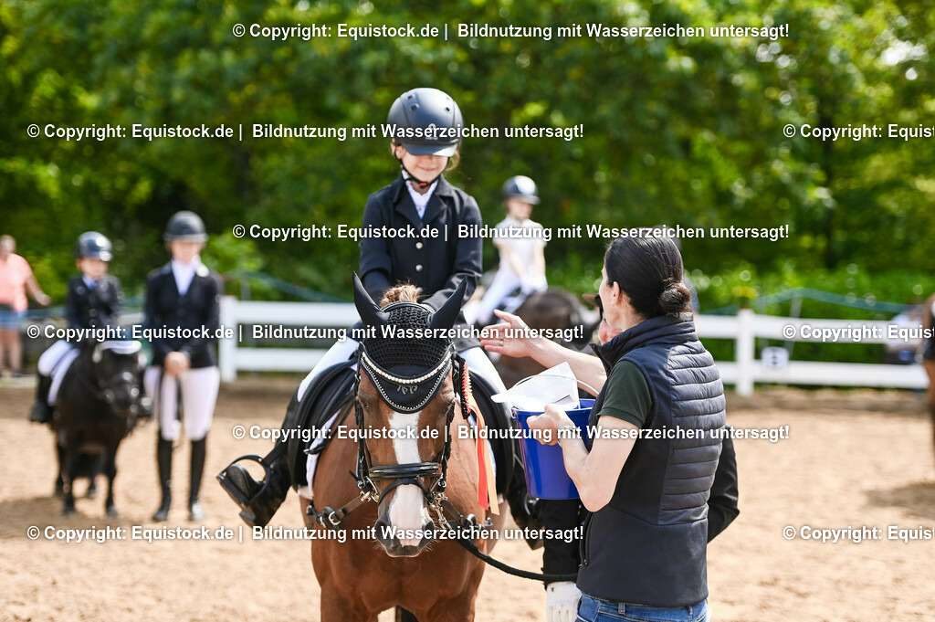 20230716_11_Führzügel-WB_0248 | equistock