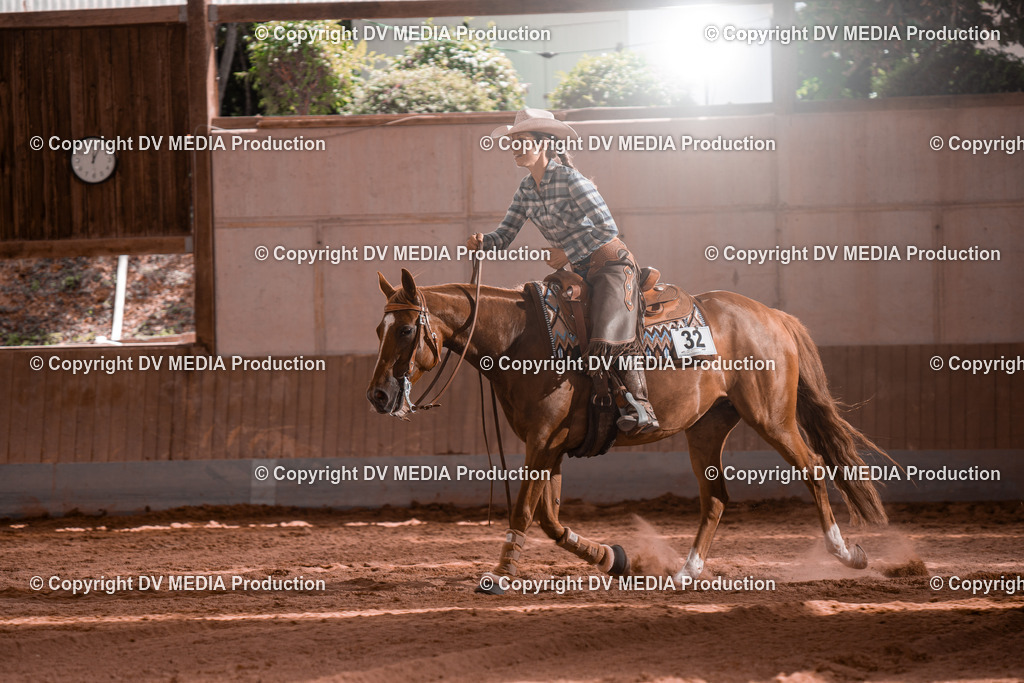 NE100809 | dv-media-shop - Realisiert mit Pictrs.com