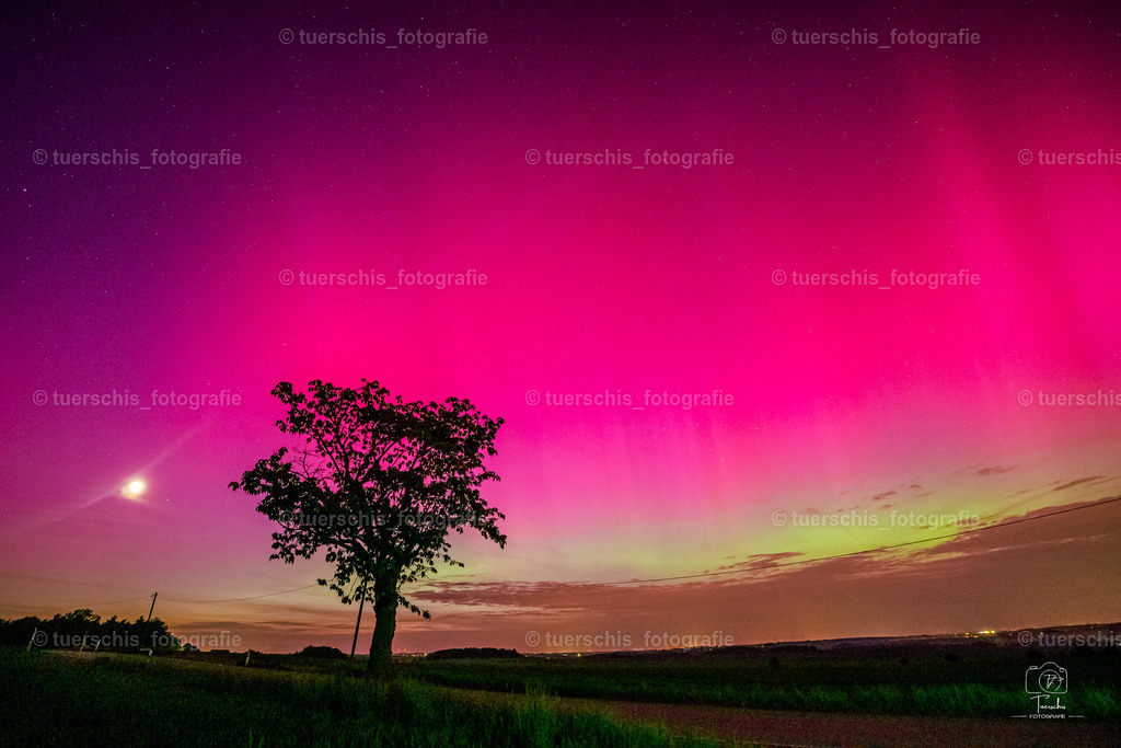 _DSC8796 | tuerschis_fotografie - Realisiert mit Pictrs.com