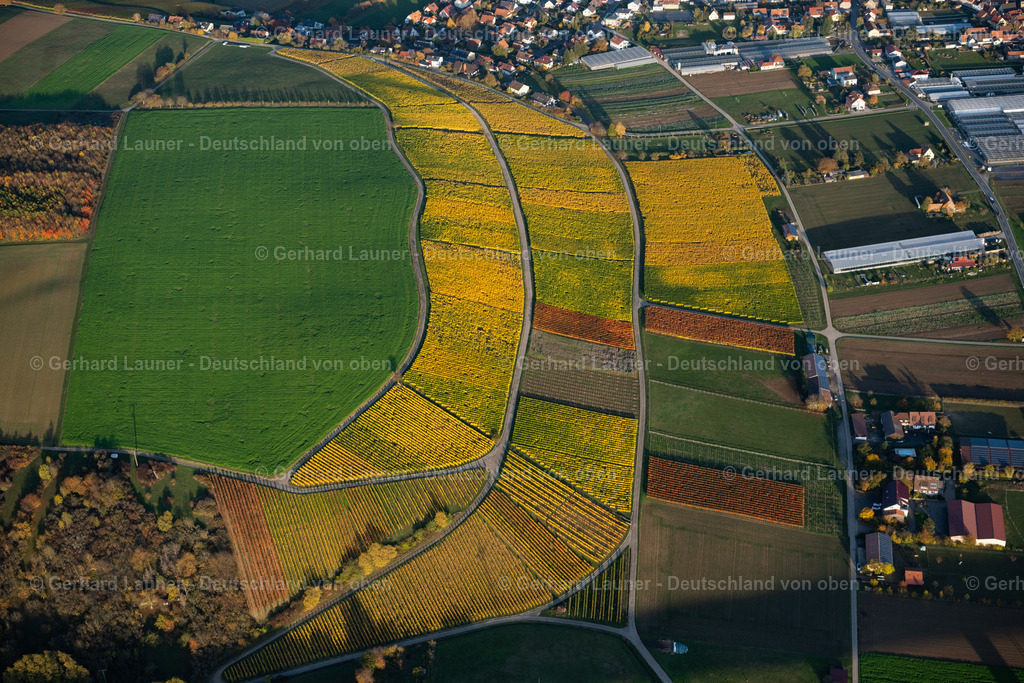 4042392 | Weinbergslandschaft an der Mainschleife bei Escherndorf und Nordheim