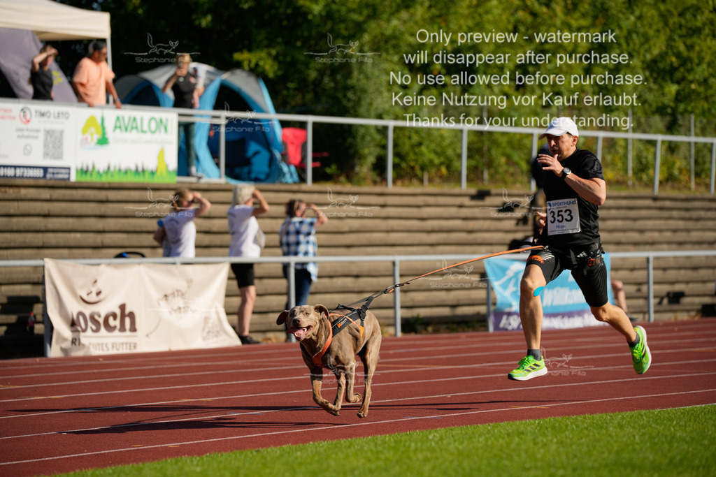 Sonntag_Staffel (330 von 336) | stephaniefillaphotographie - Realisiert mit Pictrs.com