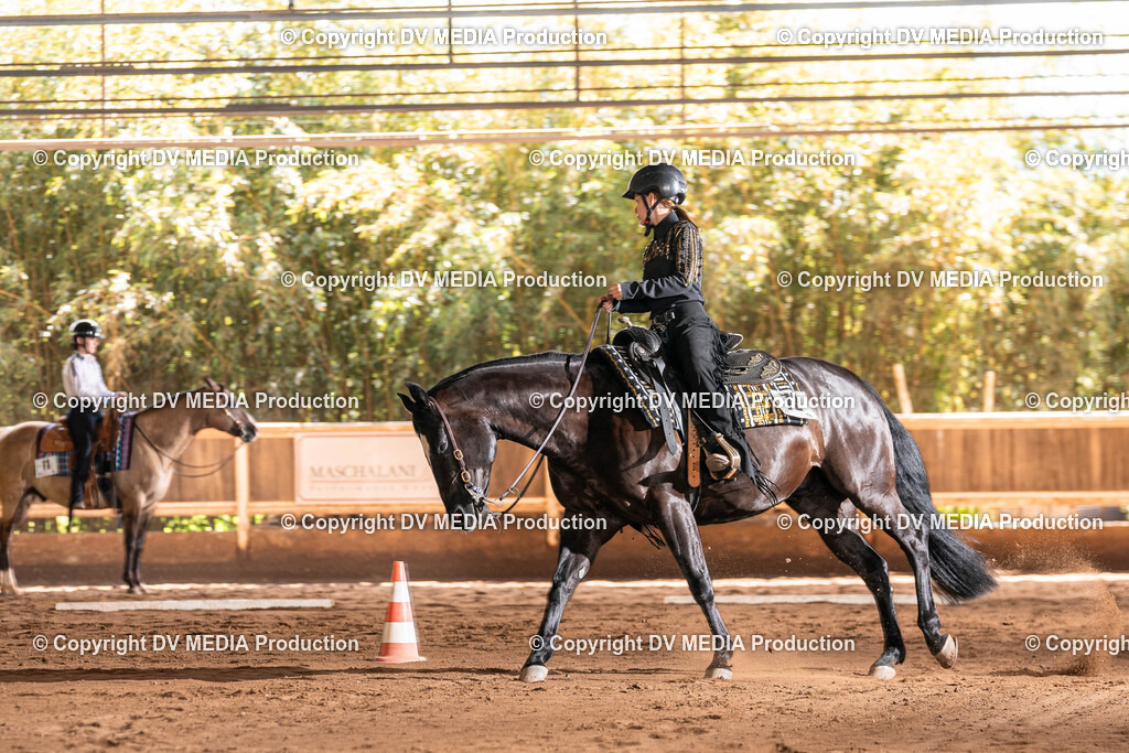 Erbach Tag 3-641 | dv-media-shop - Realisiert mit Pictrs.com