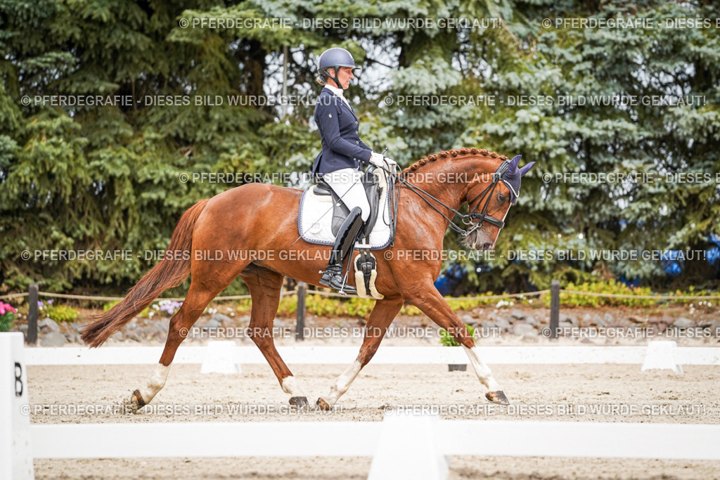 DSC05211 | Pferdegrafie