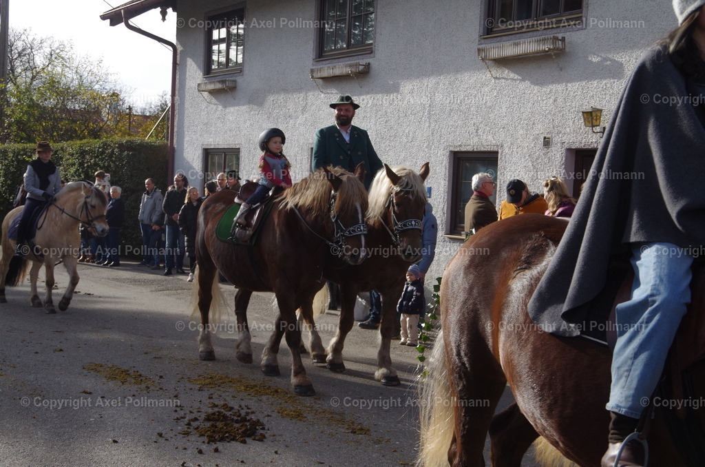 IMGP1321 | fotografiert von Axel PollmannLeonhardi Wallfahrt Benediktbeuern und Murnau, Fronleichnam, Fasching, Landschaft im Loisachtal und Benediktbeuern  - Realisiert mit Pictrs.com