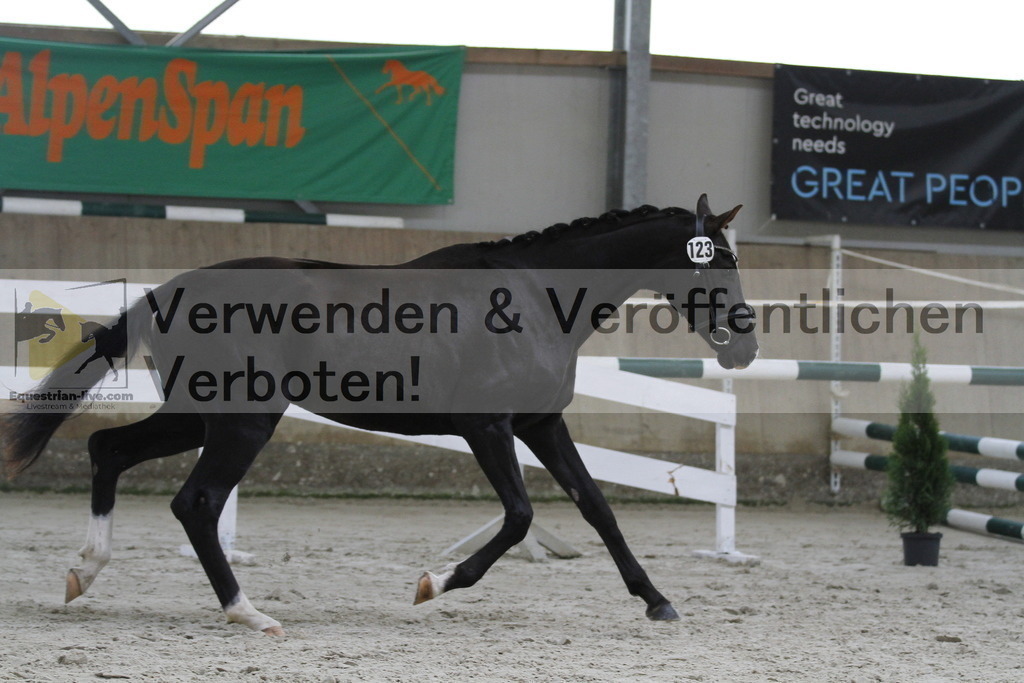 _MG_9606 | equestrian-live-com