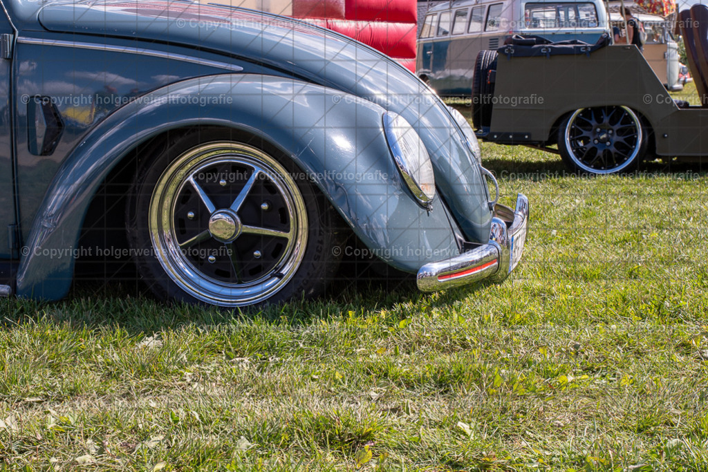 20250906140152D75_6366 | Bitte beachten!!!
Alle Fotos dieser Galerie sind nur grundbearbeitet. Im Falle eines Verkaufs, werde ich die Fotots noch mit dem nötigen Feinschliff versehen. - Realisiert mit Pictrs.com