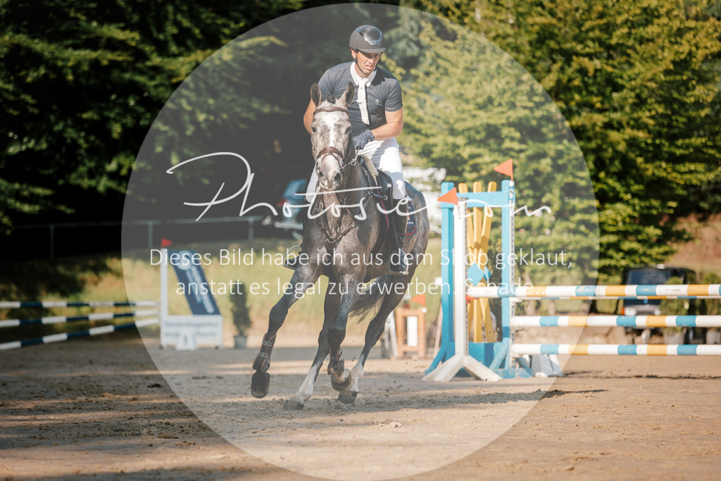 3I6A6317 | Stimmungsvolle Portraits und Reitsportfotografie im Ruhrgebiet und im Münsterland.

Pferdefotografie, Hundefotografie, Tierfotografie, Reportagen, Portraits von Tier und Mensch, Turnierfotografie in Bochum, Recklinghausen, Marl, Haltern am See, Dülmen.. - Realisiert mit Pictrs.com