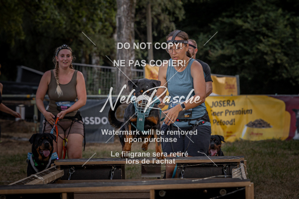 nelerasche_SummerNights26_SaBrücke2030-2100_100 | nelerasche