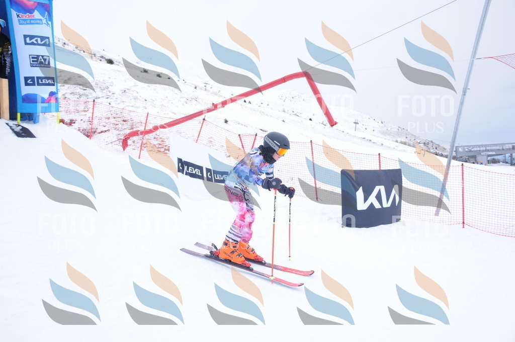 DSC_8159 | holidayphoto