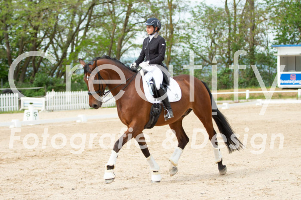 IMG_1264 | Creatify Fotografie