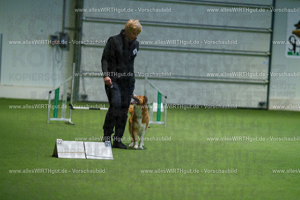 7R505501 | Professionelle Tierfotografie in Mönchengladbach von Daniel Wirth (allesWIRTHgut). Liebevolle & natürliche Bilder von Hunden & Katzen für unvergessliche Erinnerungen.