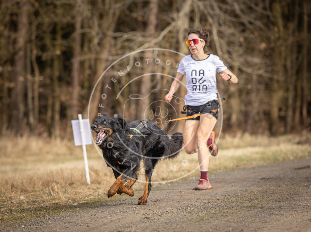 DV3A3633 | Hundefotografie, Tierfotograf, Pfotenfotografie, Fotoshooting Hund, Hunde Portrait, Hundesport, Hundeportraits, Heideshooting, Hunde, Sportfotograf, Hundefotograf, Turnierhundsport, THS,  - Realisiert mit Pictrs.com