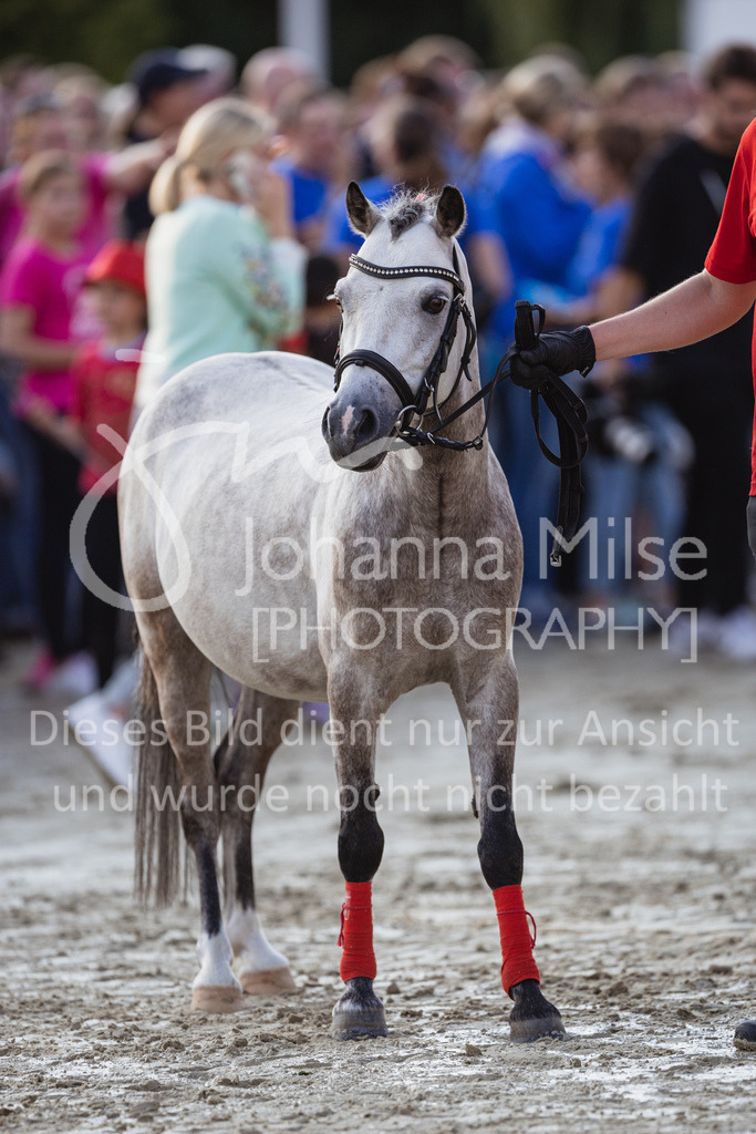 230728_BHO_Showprogramm-601 | Deine schönsten Turniermomente als professionelle Fotos! Entdecke hochwertige Pferdesport-Fotografie im Online-Shop. Jetzt Fotos finden & bestellen!