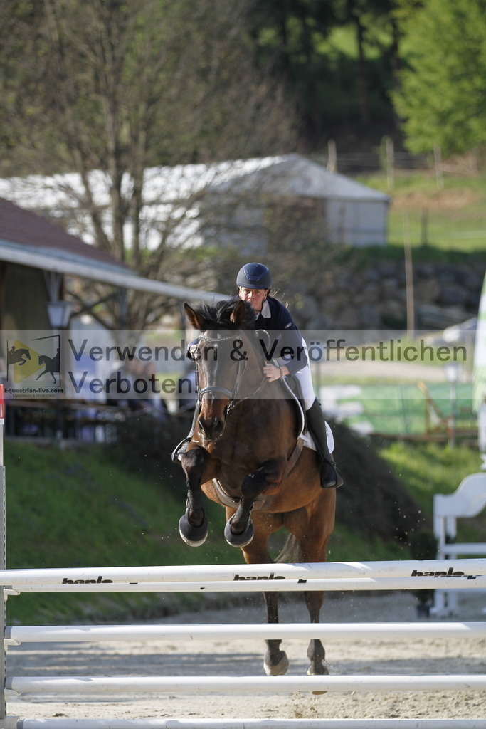 _MG_8345 | equestrian-live-com