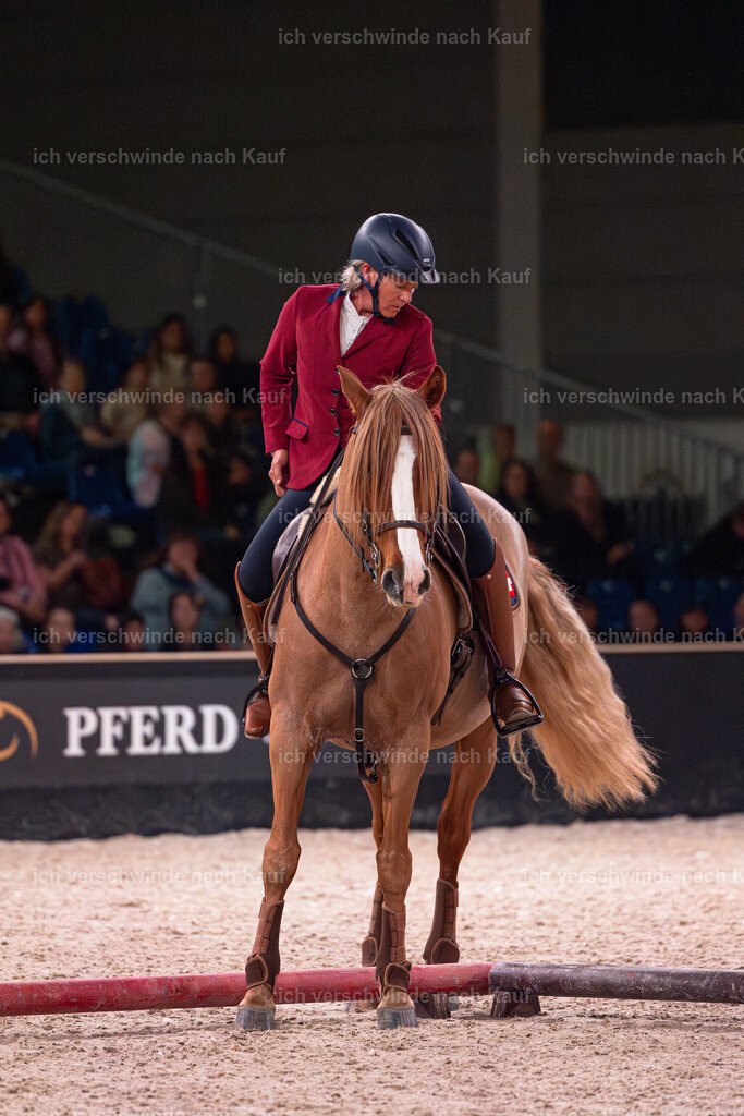 JoseraCup-71 | working equitationturnier fotograf videograf stoibphotography marixx film working equitation deutschland reitsport turnierfotografie eventfotografie equestrian events