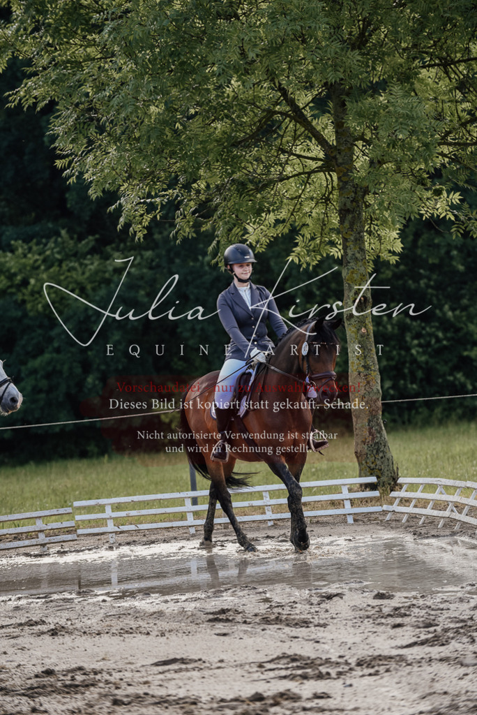 DSC_8273 | Pferde- und Turnierfotografie in Westsachsen. Pferdeportraits, Auftragszeichnungen und intuitive Kunst.