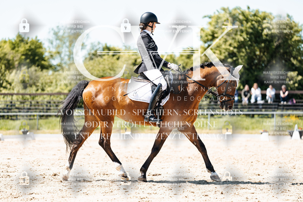 CK905893 | Turnierfotografie Pferdefotografie Trier Rheinland-Pfalz Pferdesport Reitsport Tierfotografie Sportfotografie Pferdevideo Pferdevideografie Equestrianvideography equestrianphotography  - Realisiert mit Pictrs.com