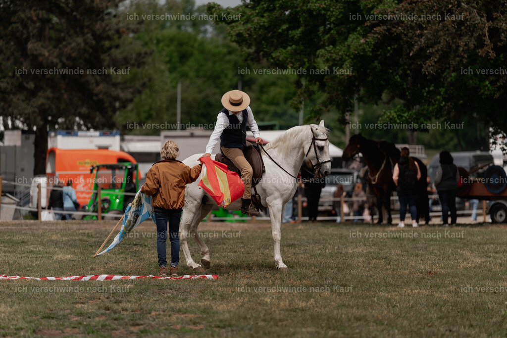 Showprogramm-114 | working equitationturnier fotograf videograf stoibphotography marixx film working equitation deutschland reitsport turnierfotografie eventfotografie equestrian events