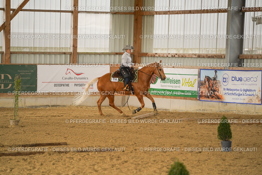 DSC02534 | Pferdegrafie