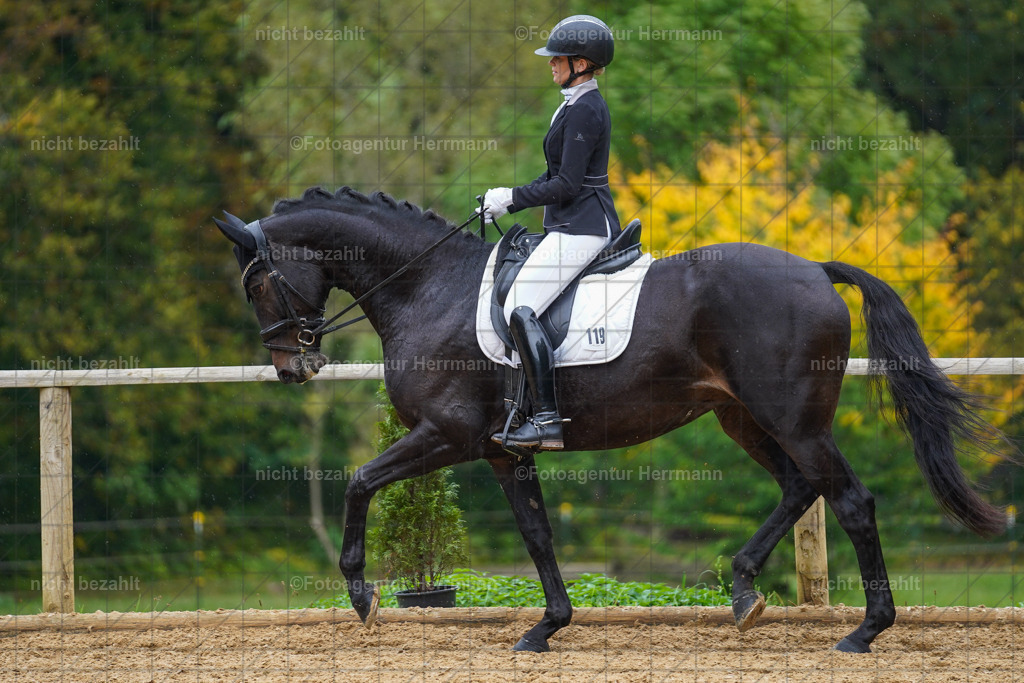 20221008-FAH01909 | Diessen am Ammersee, 2022, Dressur- und Springturnier, Reitsportbilder, Turnierfotografen Bayern, Pferdefotografen, Fotoagentur Herrmann, Turnierbilder