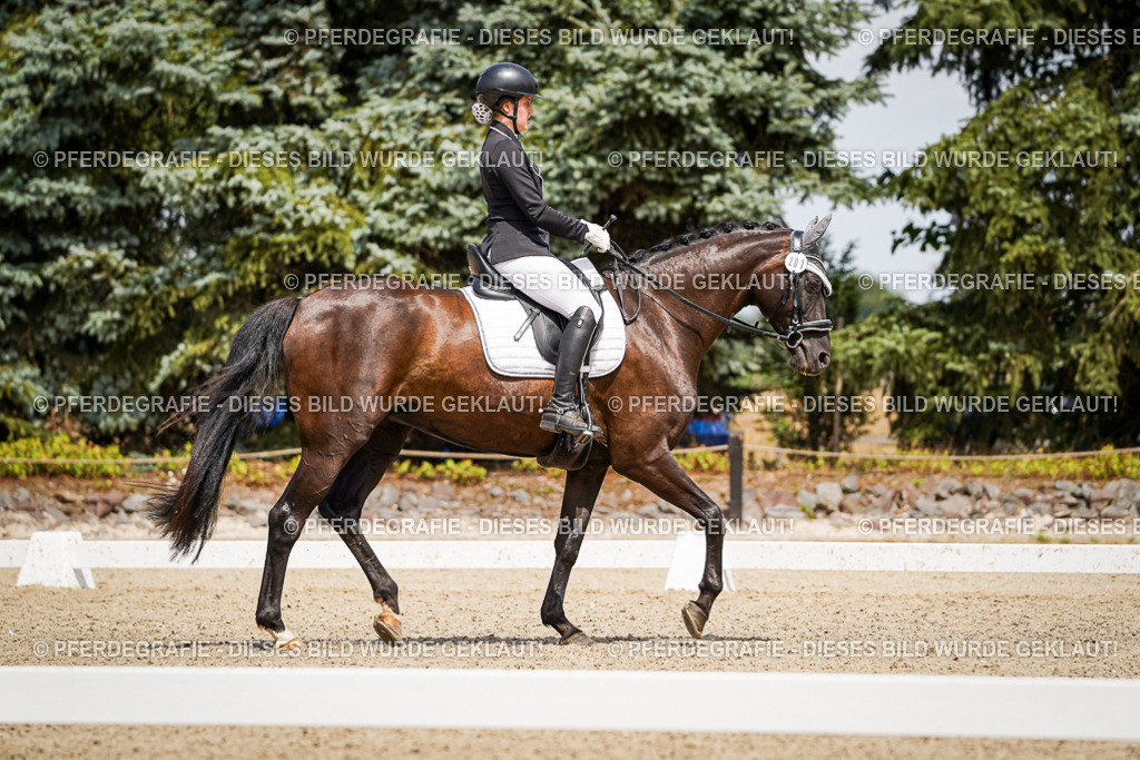 DSC02968 | Pferdegrafie