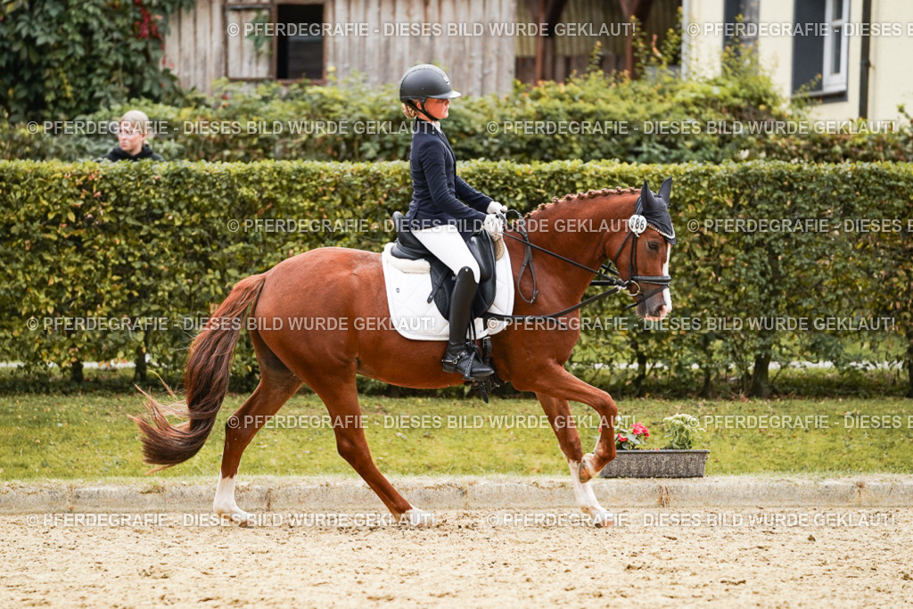 DSC09760 | Pferdegrafie