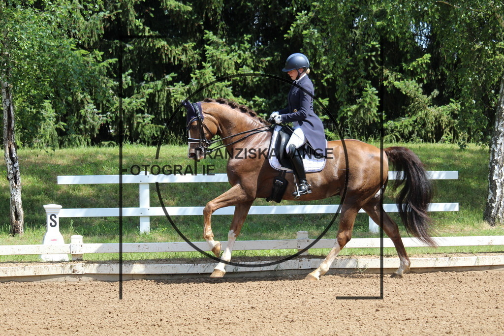 IMG_7319 | franziskalange - Realisiert mit Pictrs.com