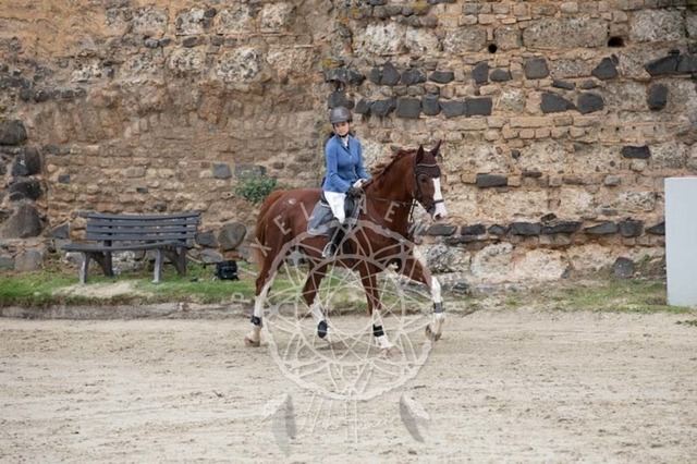 2B4A2342 | pixelfaenger - Realisiert mit Pictrs.com