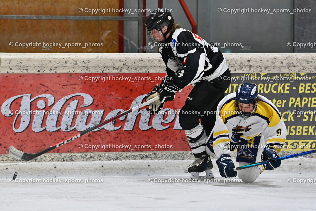 EC Tigers Paternion vs. Tarco Wölfe II | #74 Fuchs Max Tarco Wölfe II, #9 Gratzer Julian EC Tigers Paternion, EC Tigers Paternion vs. Tarco Wölfe II, EC Tigers Paternion vs. Tarco Wölfe II am 19.12.2024 in Spittal an der Drau (Eissportzentrum Spittal), Austria, (Photo by Bernd Stefan)