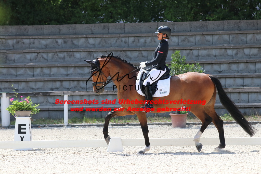 IMG_5008 | lmwpictures - Realisiert mit Pictrs.com