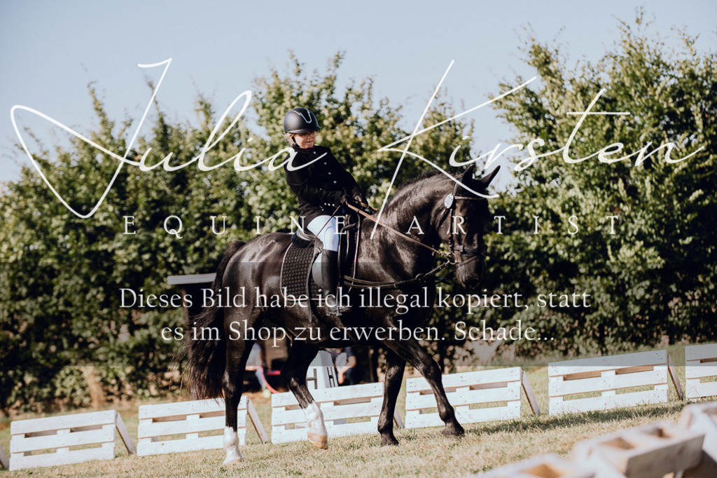 DSC_6985 | Pferde- und Turnierfotografie in Westsachsen. Pferdeportraits, Auftragszeichnungen und intuitive Kunst.