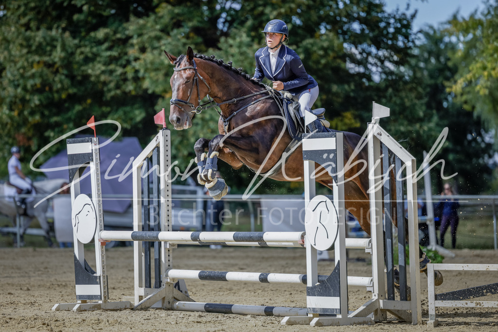 20250906-_3LI6253 | Tierfotografie Pferde, Hunde, Katzen, Haustiere.
Turnierfotografie Reitturniere, Reiten, Springreiten, Dressur in Hanau, dem Main-Kinzig-Kreis und dem Rhein-Main- Gebiet um Frankfurt