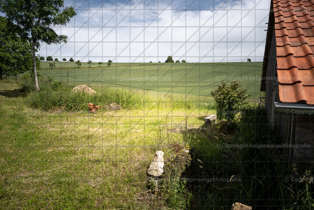 20260616104602Z63_4596 | Kaufen sie online außergewöhnliche Fotografien auf Leinwand Acrylglas Fotoprint Aludibond von holgerweigeltfotografie - Realisiert mit Pictrs.com