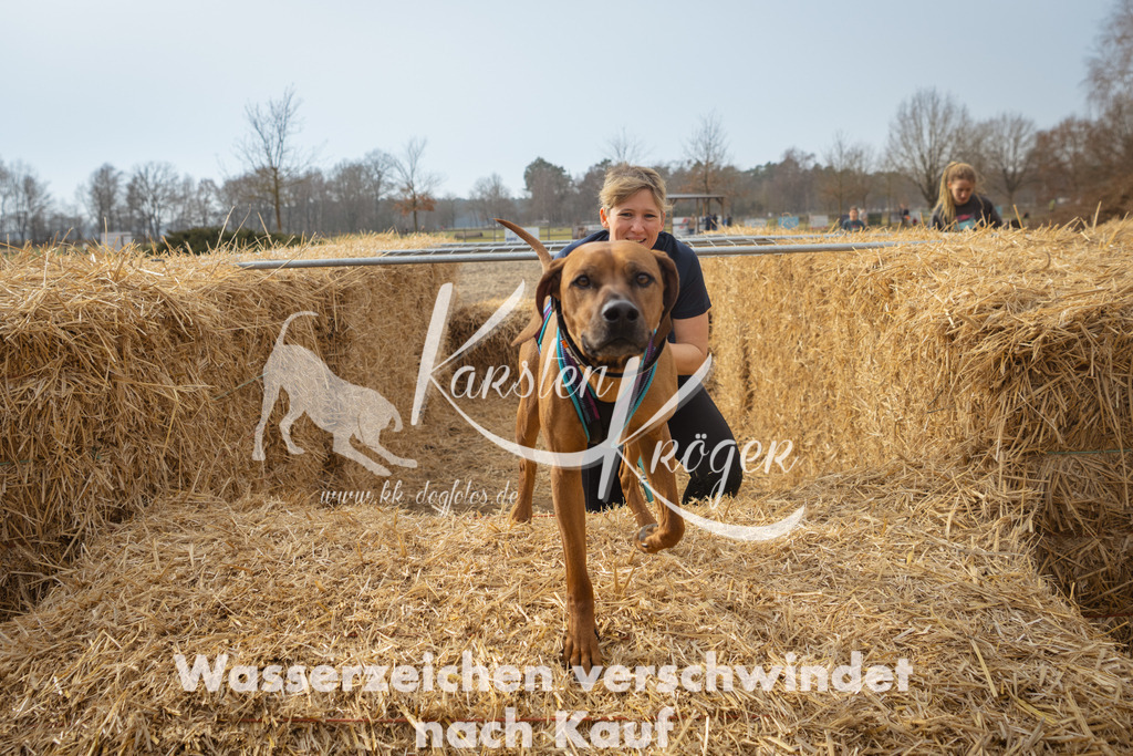 1118_ZZ92766 | kk-dogfotos