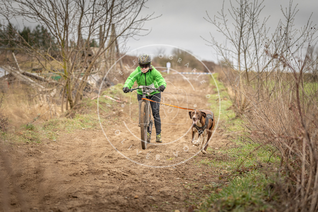 DV3A1492 | Hundefotografie, Tierfotograf, Pfotenfotografie, Fotoshooting Hund, Hunde Portrait, Hundesport, Hundeportraits, Heideshooting, Hunde, Sportfotograf, Hundefotograf, Turnierhundsport, THS,  - Realisiert mit Pictrs.com