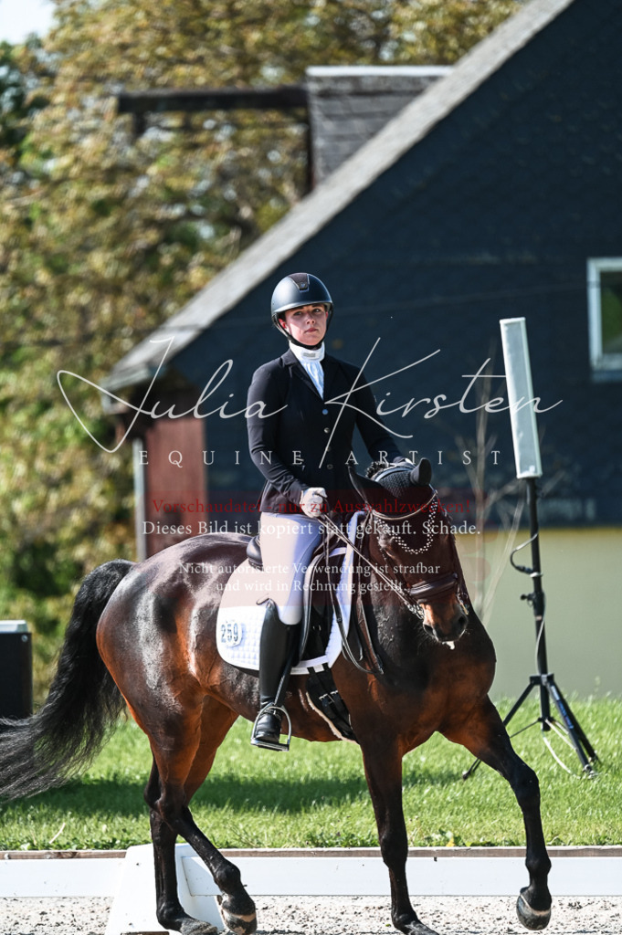 20230514_JK-Röhrsdorf-18-332 | Pferde- und Turnierfotografie in Westsachsen. Pferdeportraits, Auftragszeichnungen und intuitive Kunst.