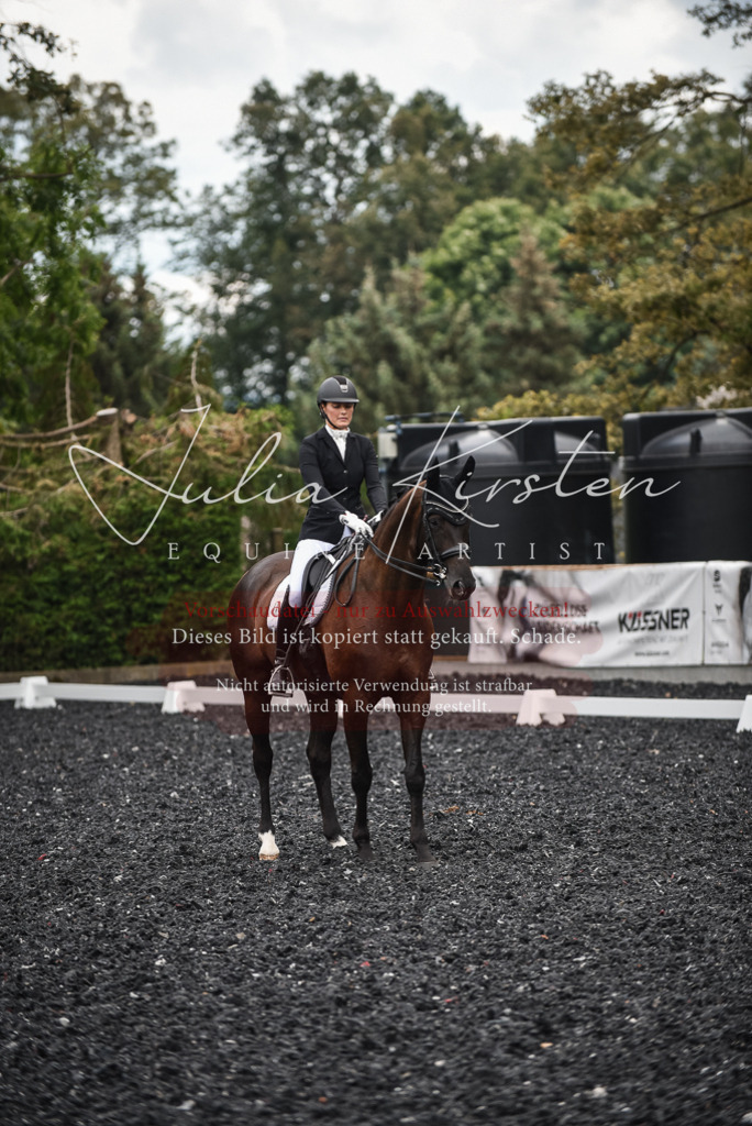 DSC_4830 | Pferde- und Turnierfotografie in Westsachsen. Pferdeportraits, Auftragszeichnungen und intuitive Kunst.