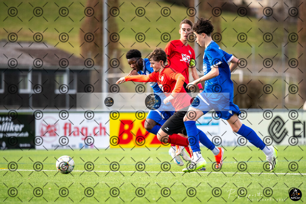 20250125_FCR-Ba vs Basel_031 | Sport und Naturfotografie von Roberto Esposito zeigt echte Momente Bewegung und die Schönheit der Natur. Ausdrucksstarke Bilder schaffen Emotionen.