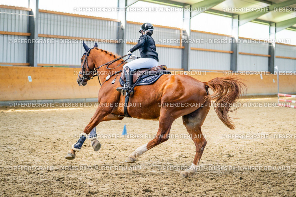 DSC01311 | Pferdegrafie