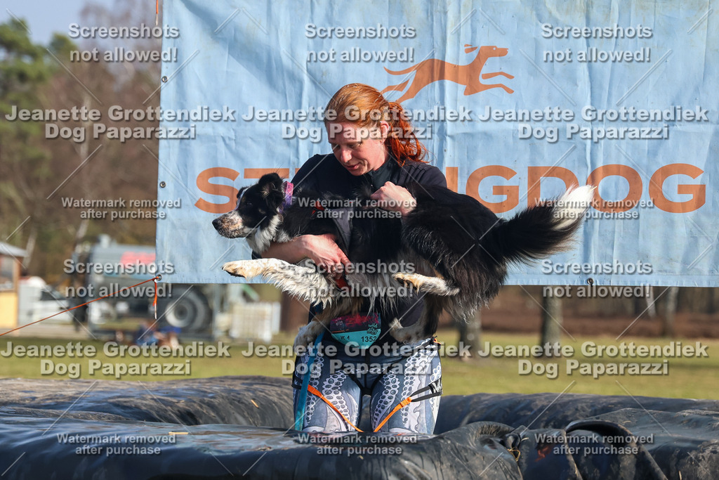 Dog Paparazzi - Strongdog North Mrz26-2546 | Dog Paparazzi Jeanette Grottendiek Fotografie & Videografie - Realisiert mit Pictrs.com