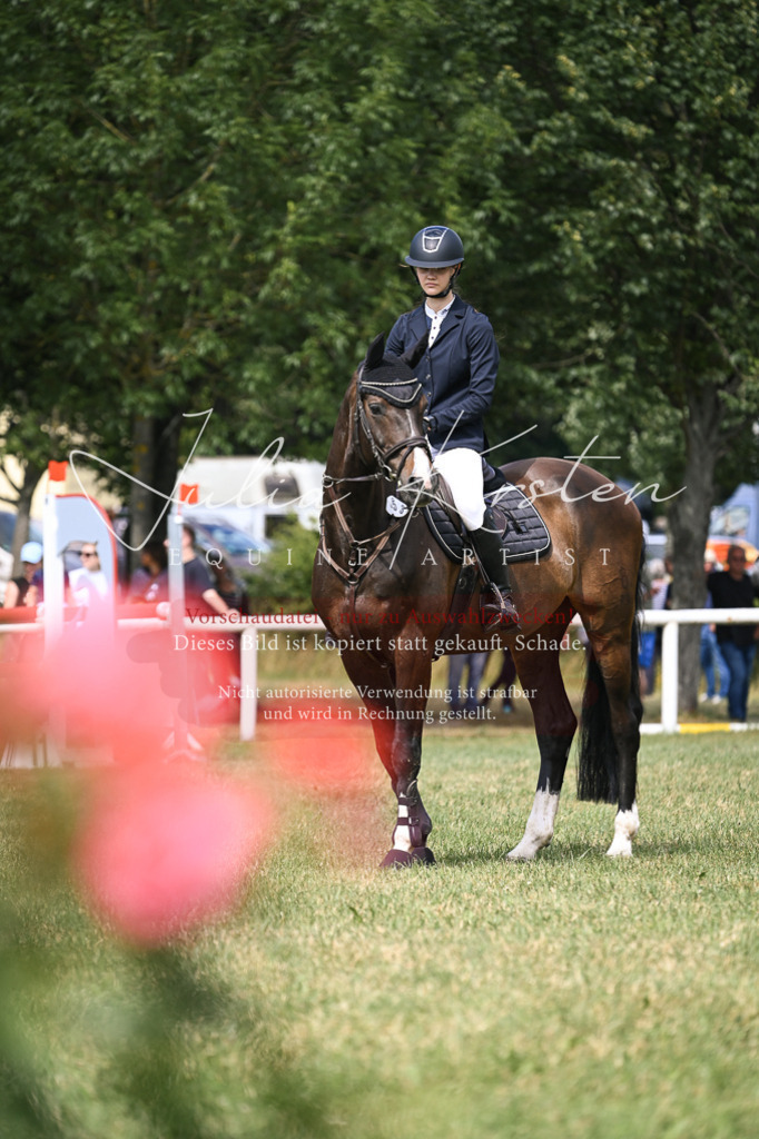 DSC_0682 | Pferde- und Turnierfotografie in Westsachsen. Pferdeportraits, Auftragszeichnungen und intuitive Kunst.
